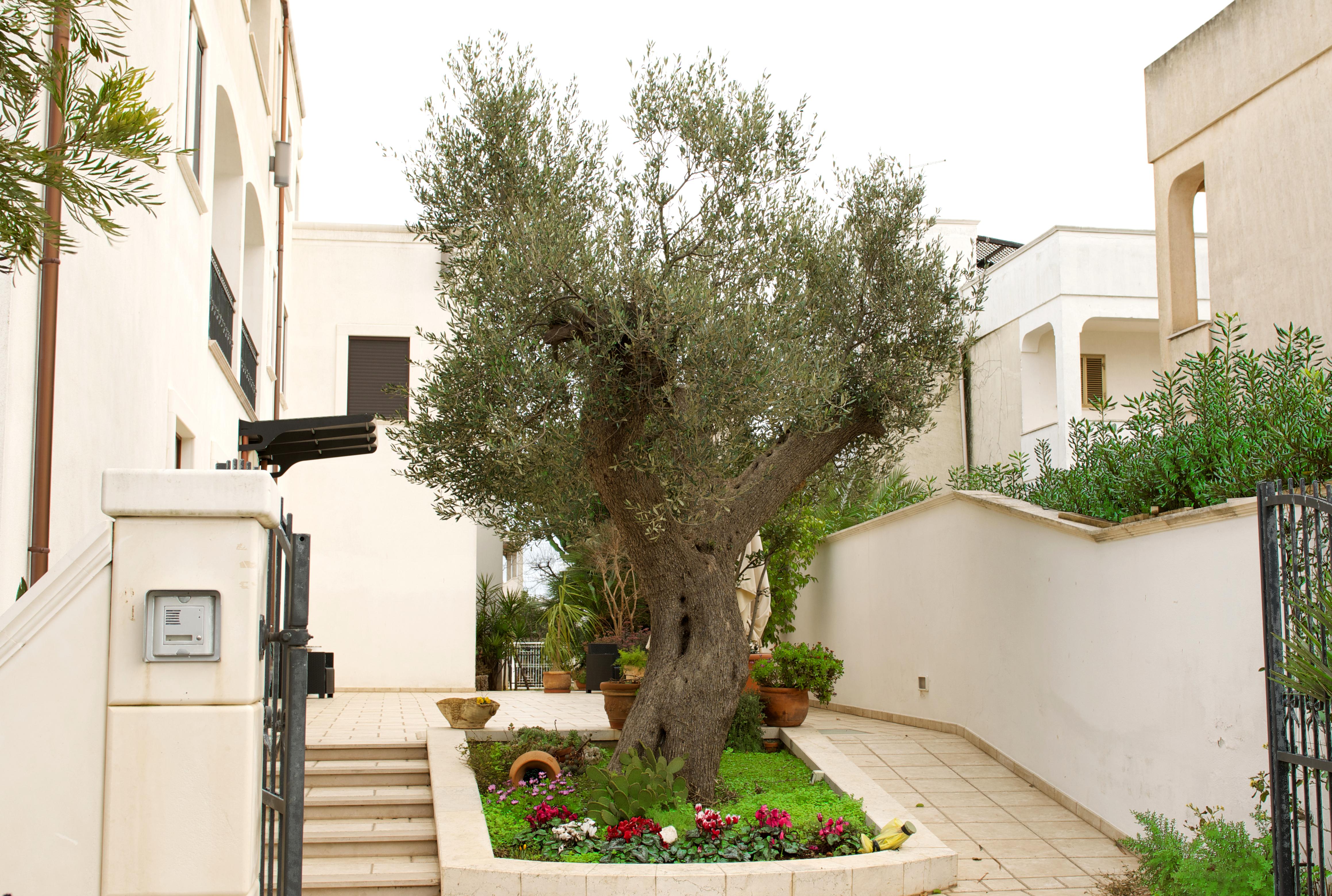 Hotel Victoria Torre Santa Sabina Exterior photo